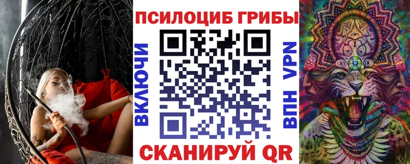 Галлюциногенные грибы ЛСД  мега ONION  Касли  купить  сайты 